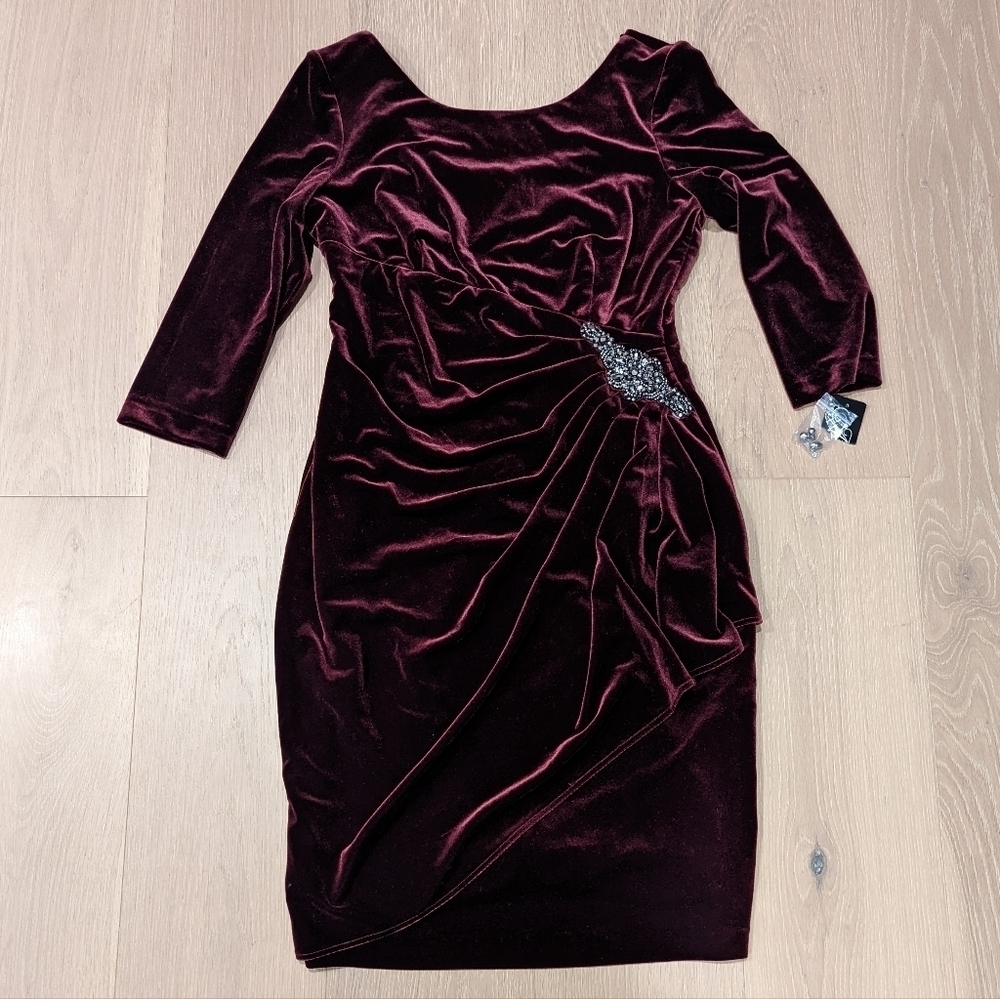 Elegant Velvet Burgundy Dress